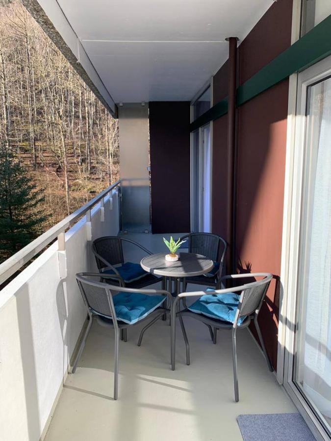 Mariposa 3 Incl Pool & Sauna Bad Harzburg Kültér fotó