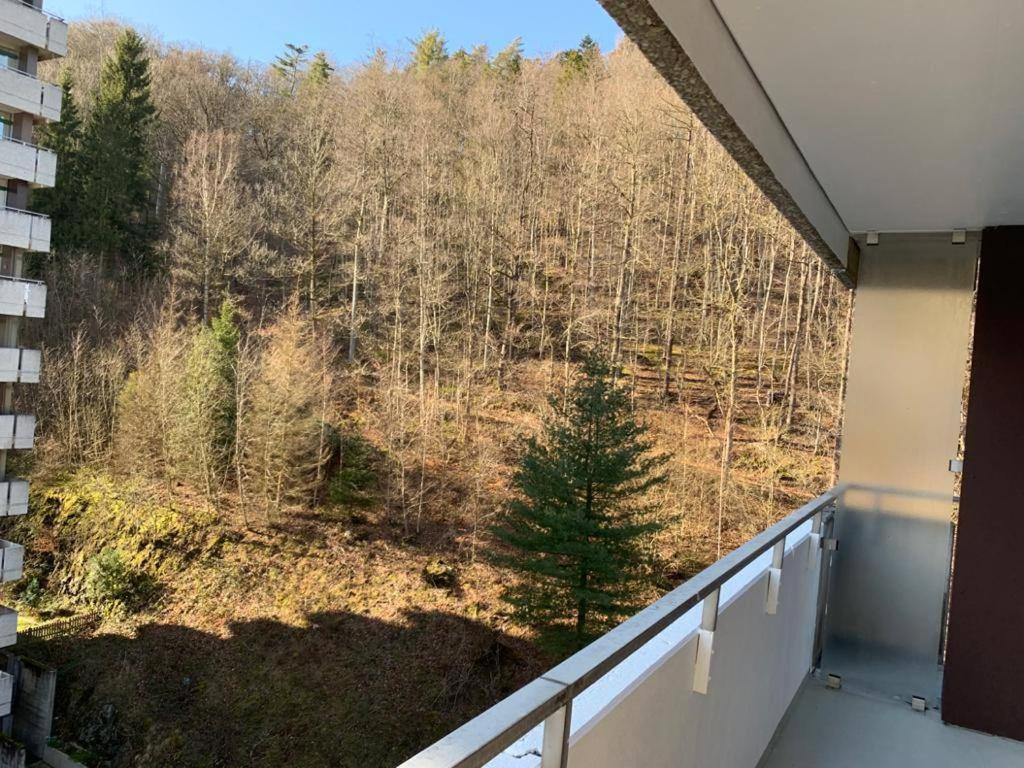 Mariposa 3 Incl Pool & Sauna Bad Harzburg Kültér fotó