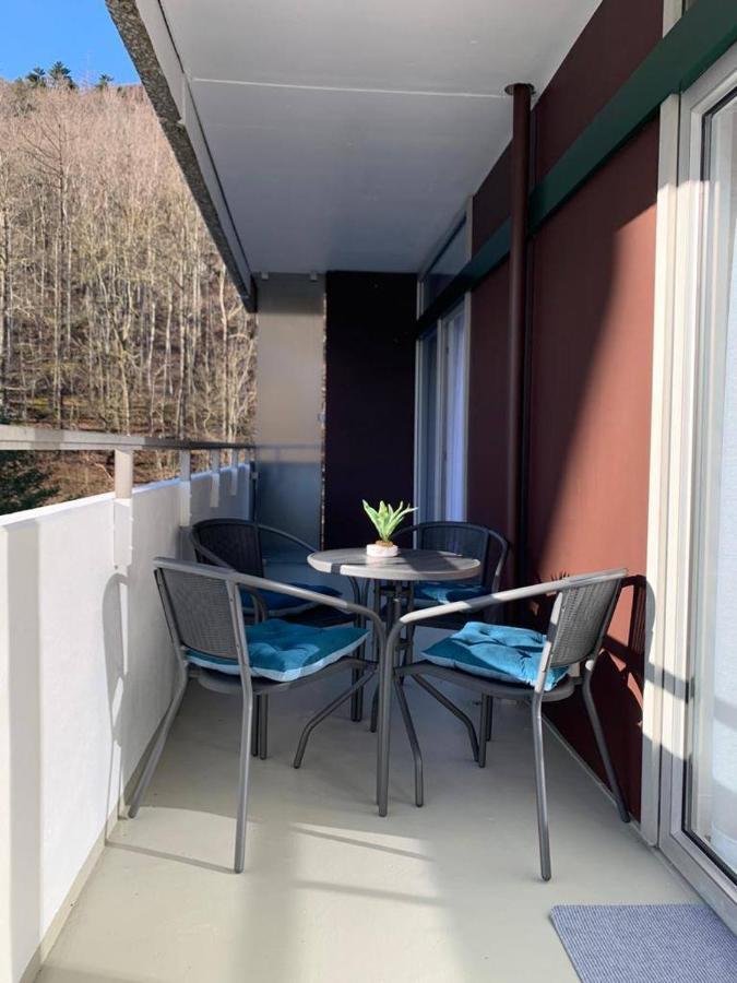 Mariposa 3 Incl Pool & Sauna Bad Harzburg Kültér fotó